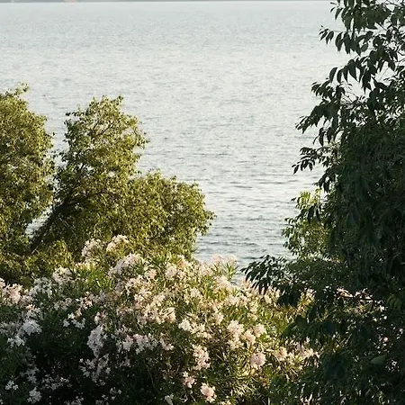 Apartament Eva